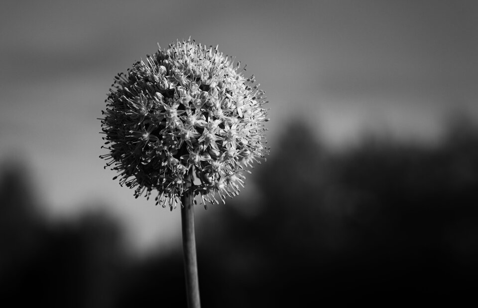 EML00358.jpg - squirt_lover_waw