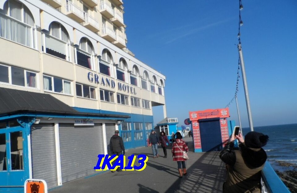 SAM_17111.jpg - ika13