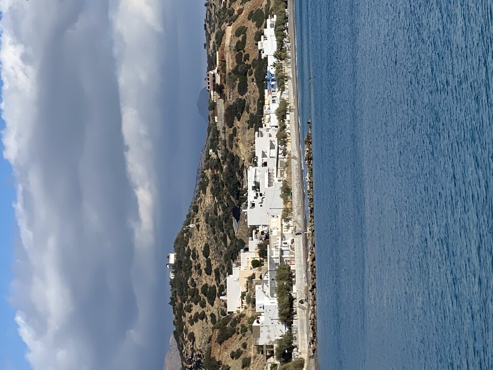 4CE081D5-55E3-450A-9A35-9C7B7CC3147C.jpeg - andonis