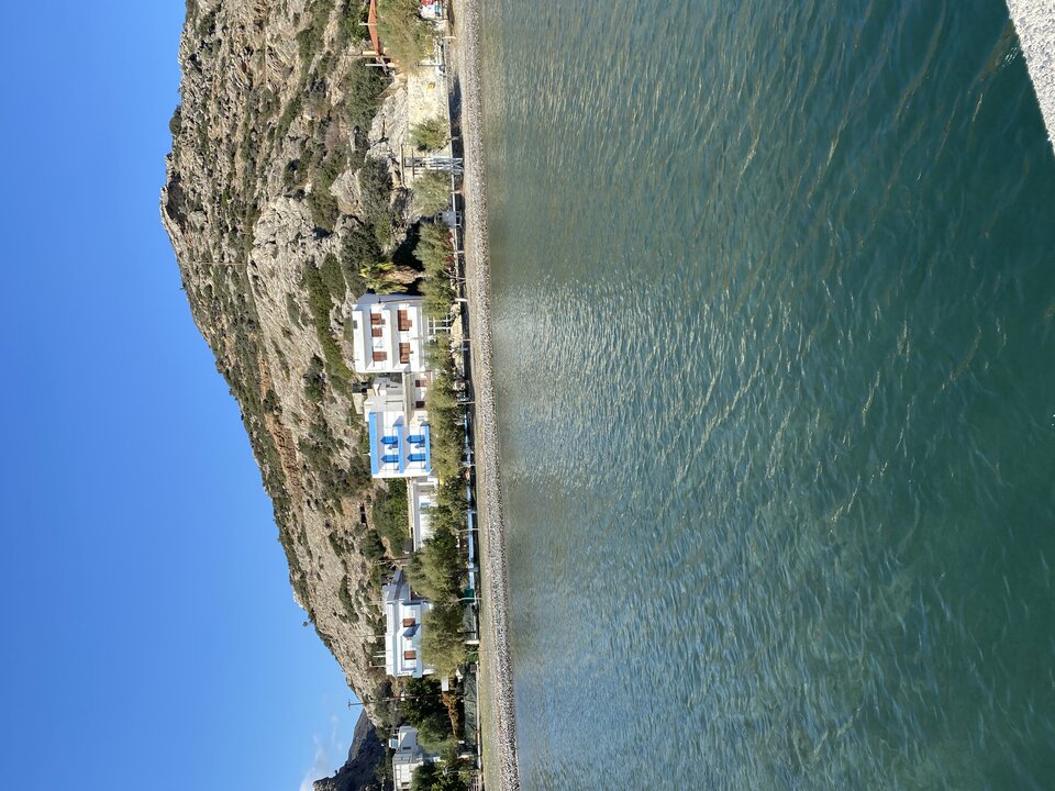 5C671F15-FC41-4AA7-A2C3-BA27C93A0207.jpeg - andonis