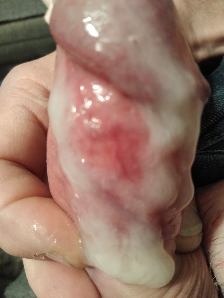 16378603040265155012117986386582.jpg - twoeyes