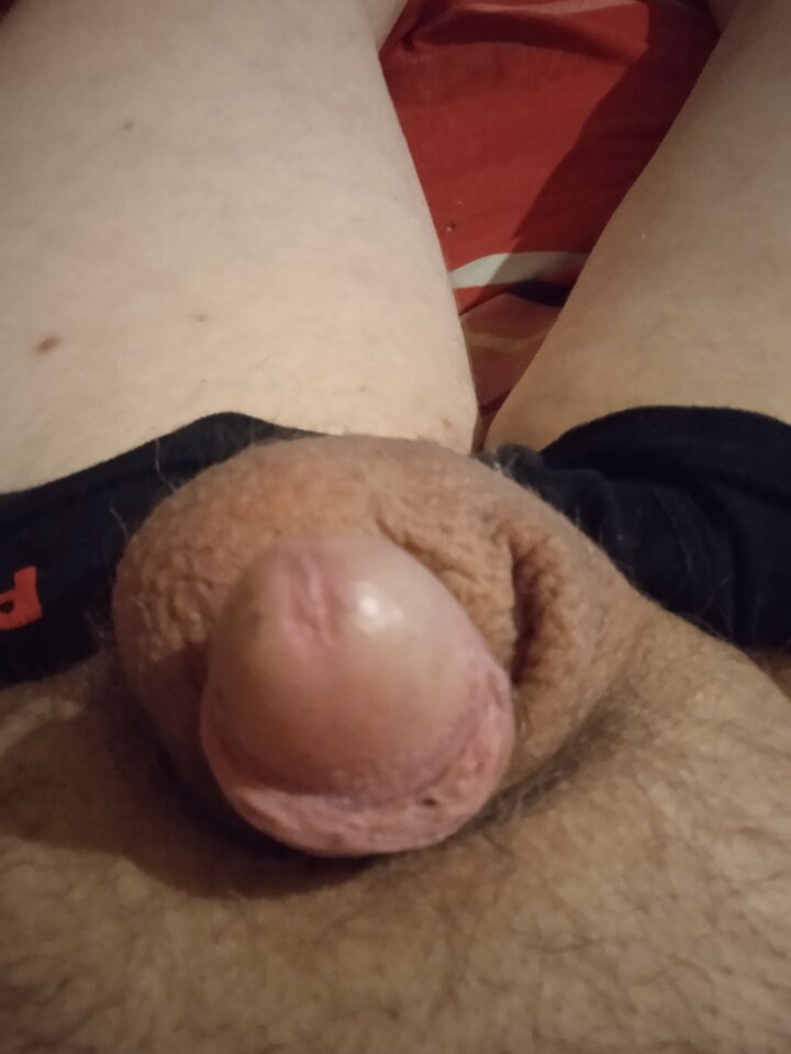 IMG_20211127_012040.jpg - napalony8989