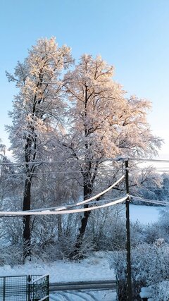 IMG-20211127-WA0004.jpg