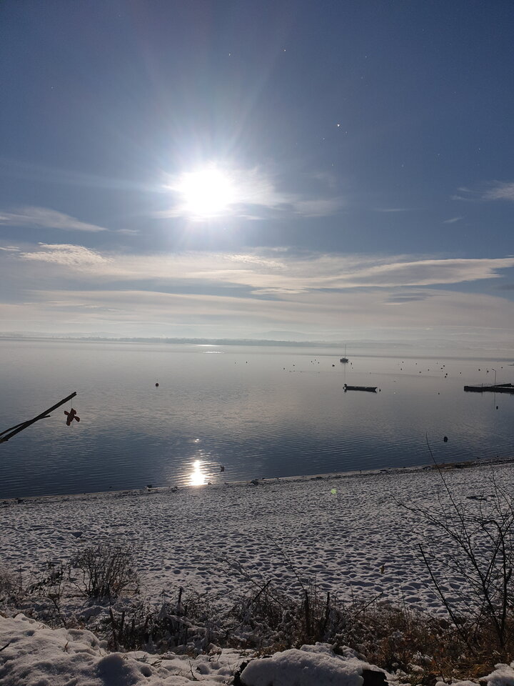 20211127_100412.jpg - Sokrates976
