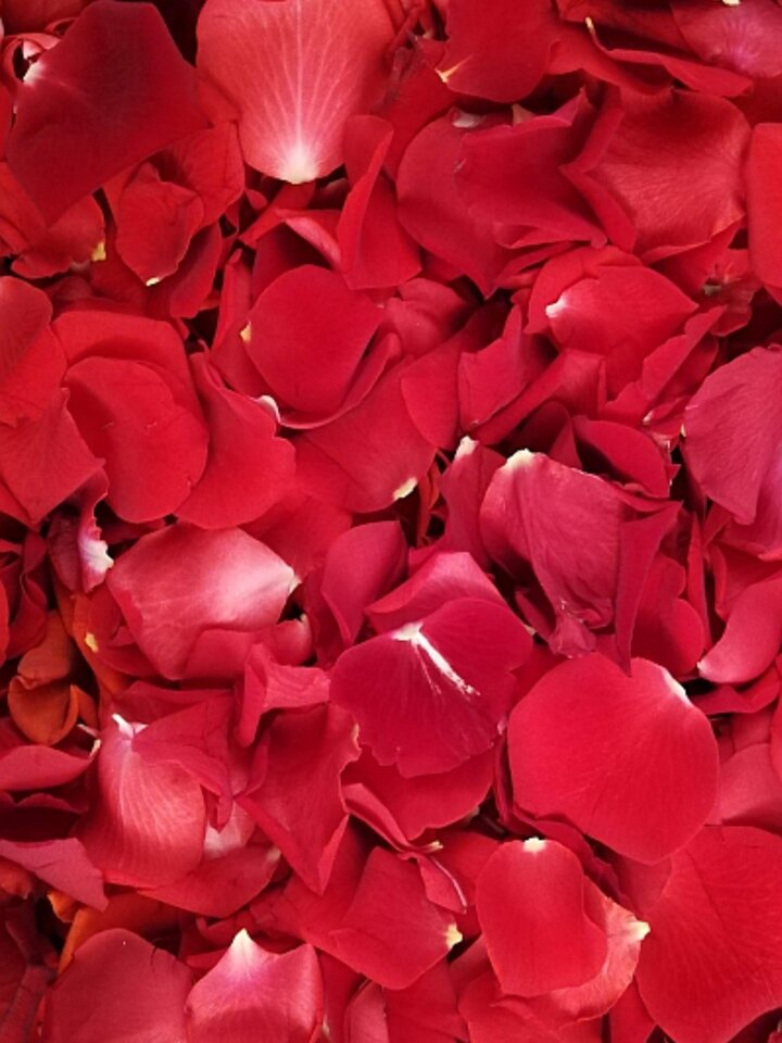 Screenshot_20211127-181707_Samsung Internet.jpg - KobietaI1976