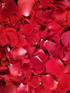 Screenshot_20211127-181707_Samsung Internet.jpg