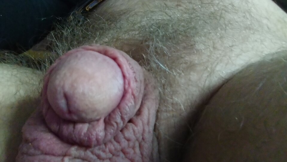 DSC_0198.JPG - lizalek73