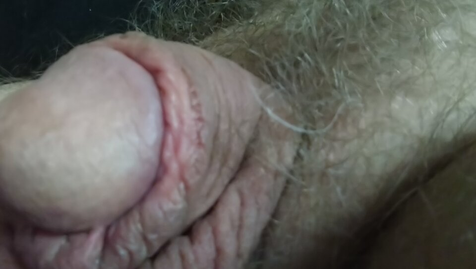 DSC_0200.JPG - lizalek73