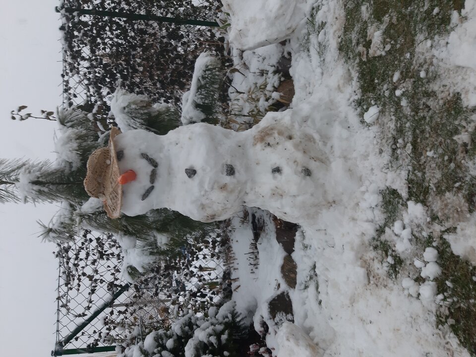 20211128_152129.jpg - 827KW