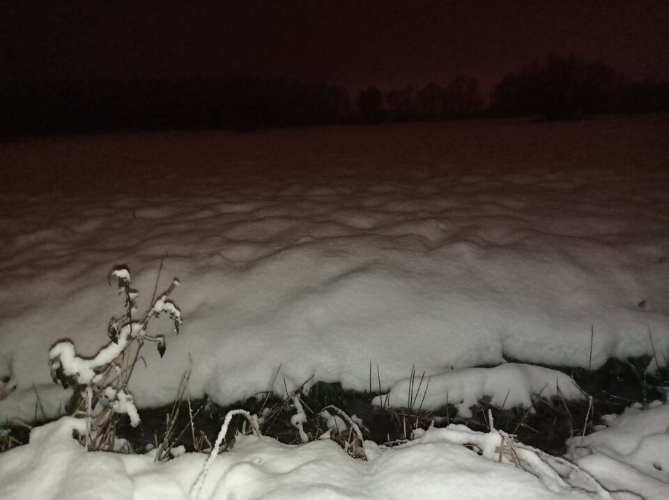 pierwszy snieg - Tygryyysek