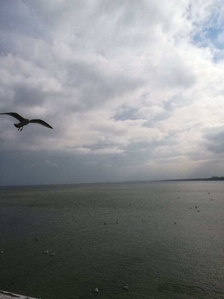 IMG_20181007_124656.jpg - luccakrakow