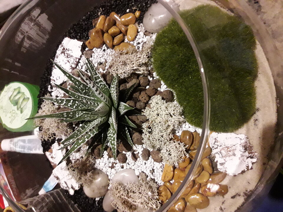 20211130_185357.jpg - gutek1234