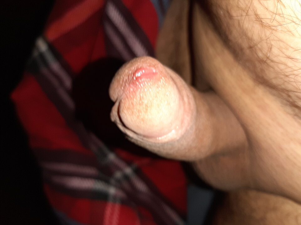 20200324_055026.jpg - erka119