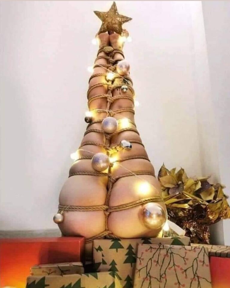 IMG_20211202_172624.jpg - TrioStory