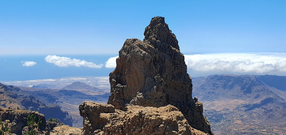 20210811_124709.jpg - 31przystojnysex