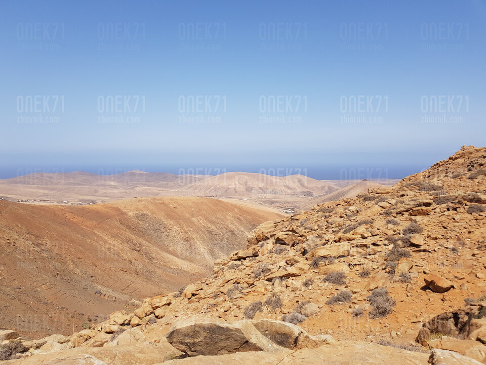 20200813_114516.jpg - Onek71