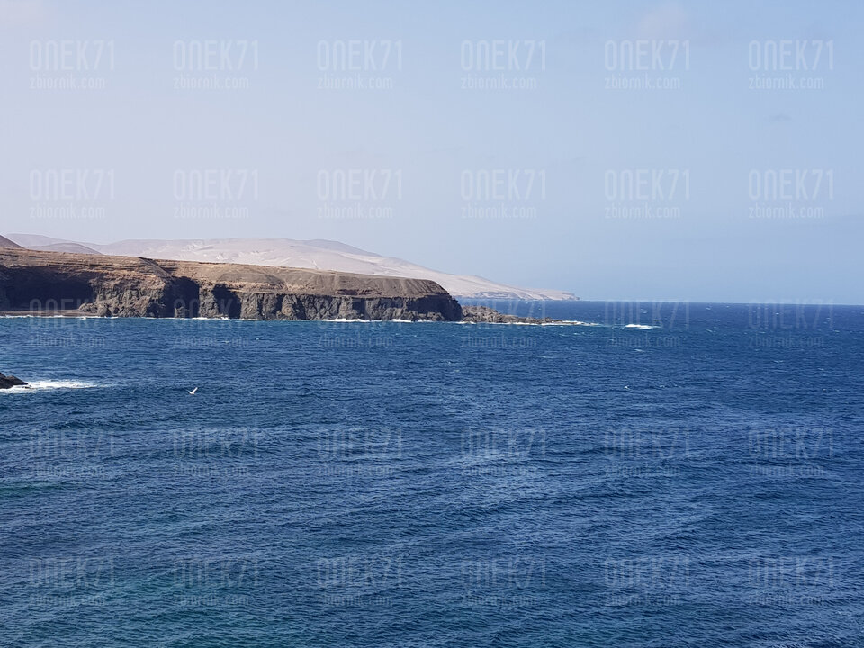 20200813_102105.jpg - Onek71