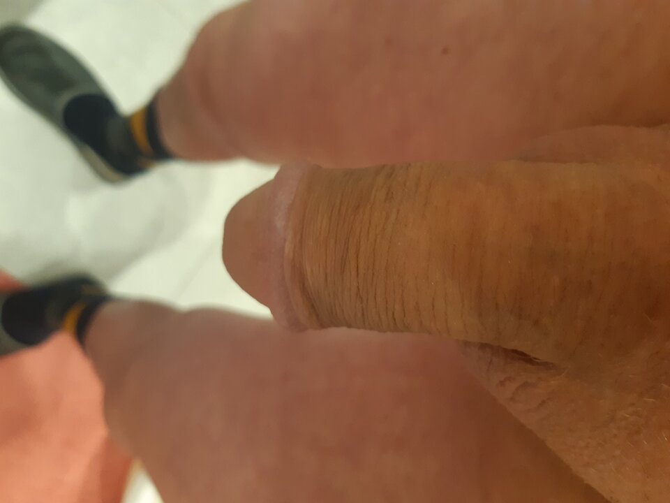 16386958838933447872356367705617.jpg - 250272