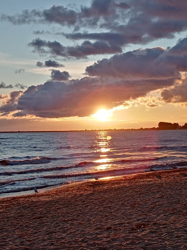 IMG_20210905_061634.jpg - Casanova2022