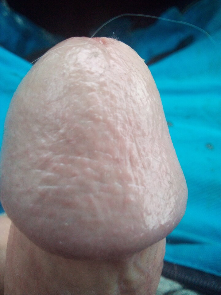 IMG_20211206_101101_0.jpg - podruznik