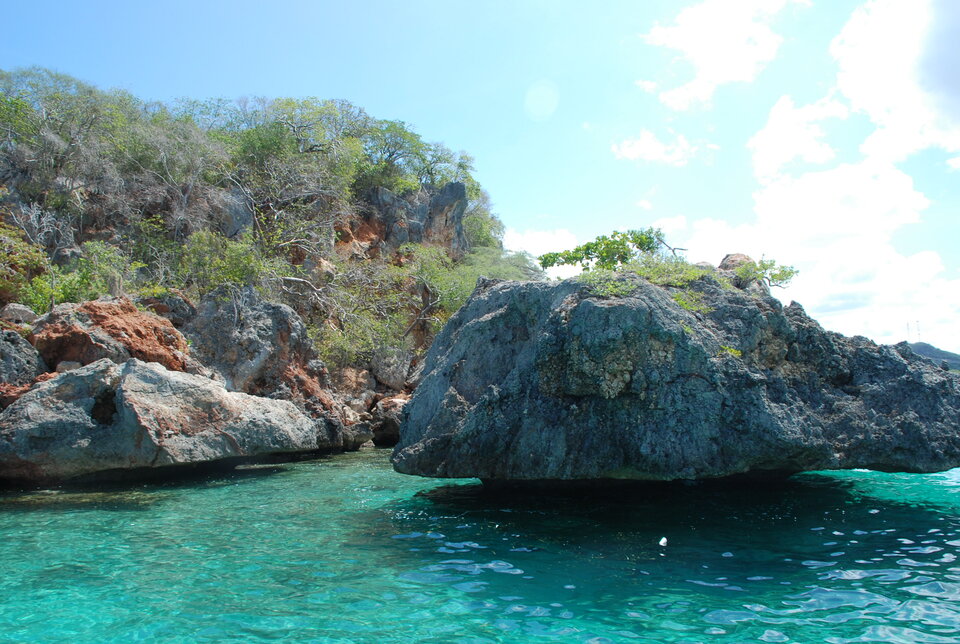 DSC_0099.JPG - amazonka50