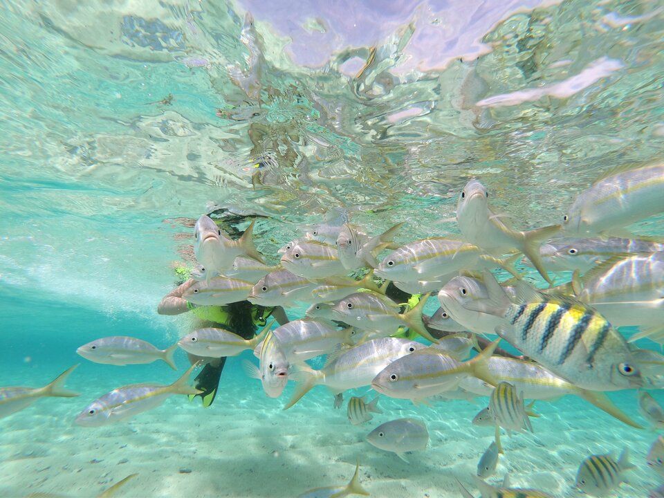 GOPR8313.JPG - amazonka50