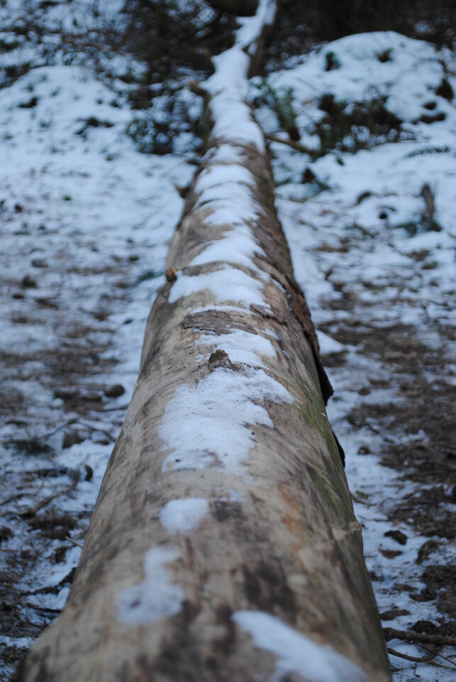 No i mamy zimę... - uhtred