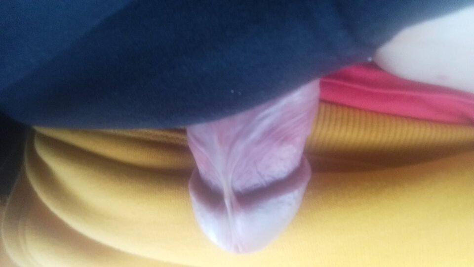 IMG-20211204-WA0001.jpeg - Nowy868