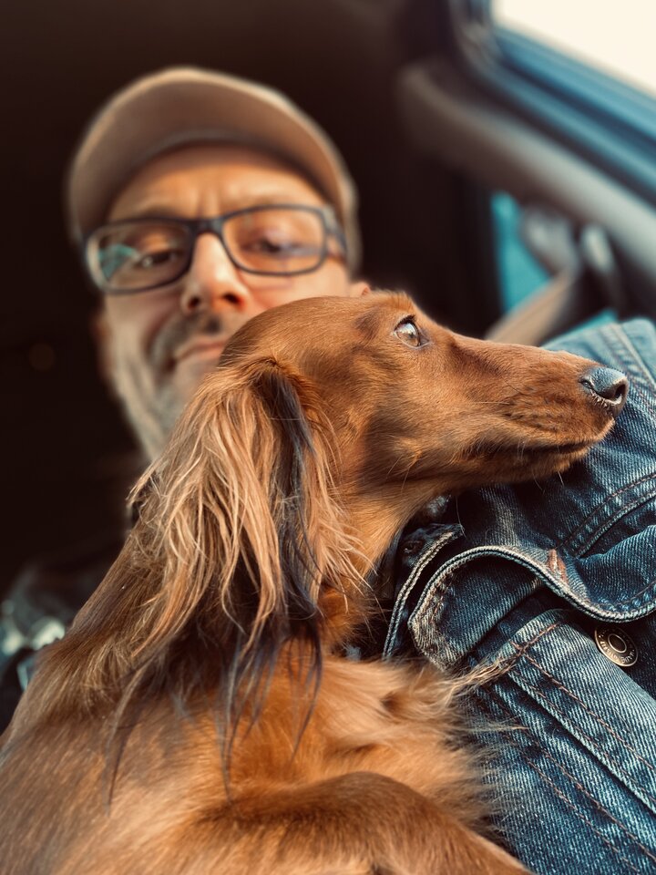 Jamnik i jego Pan - MrMaxPervandDaughter