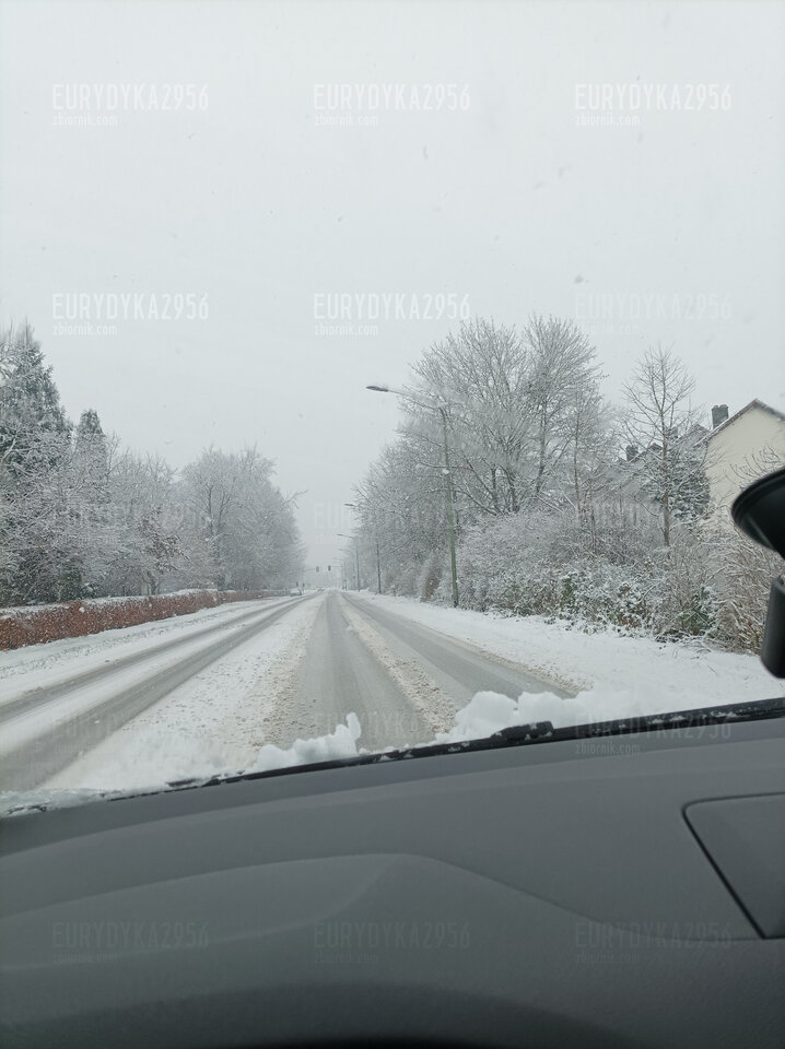 IMG_20211208_122158.jpg - Eurydyka2956