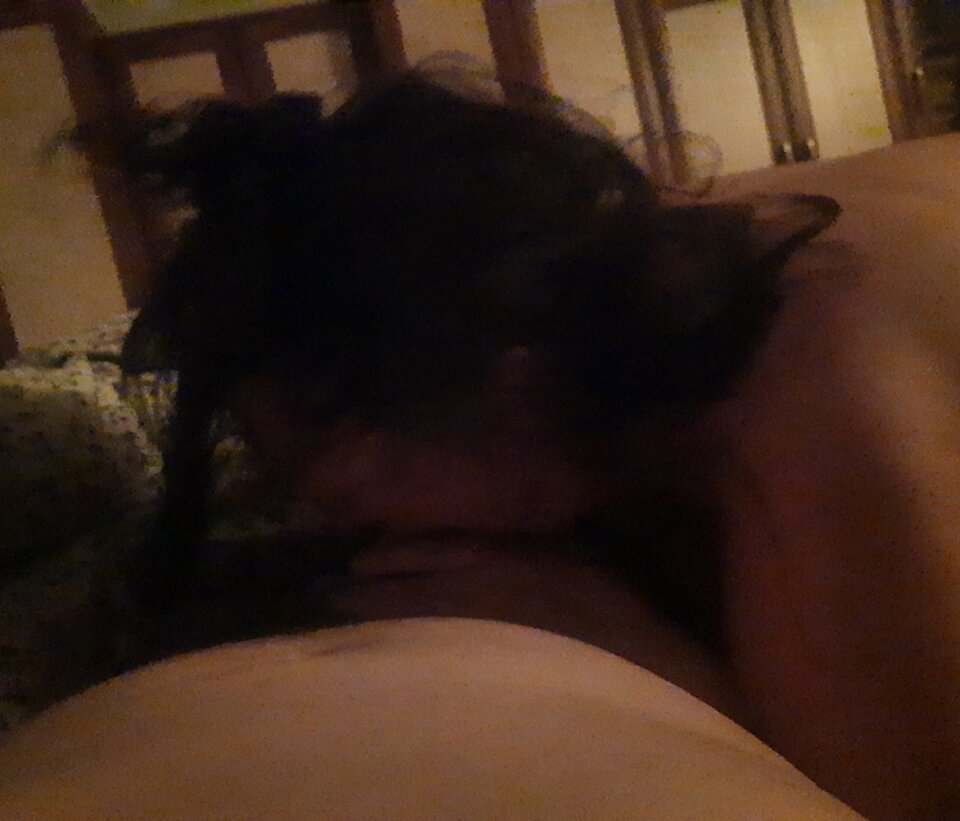 20211116_165828~2.jpg - PuszystaCiocia