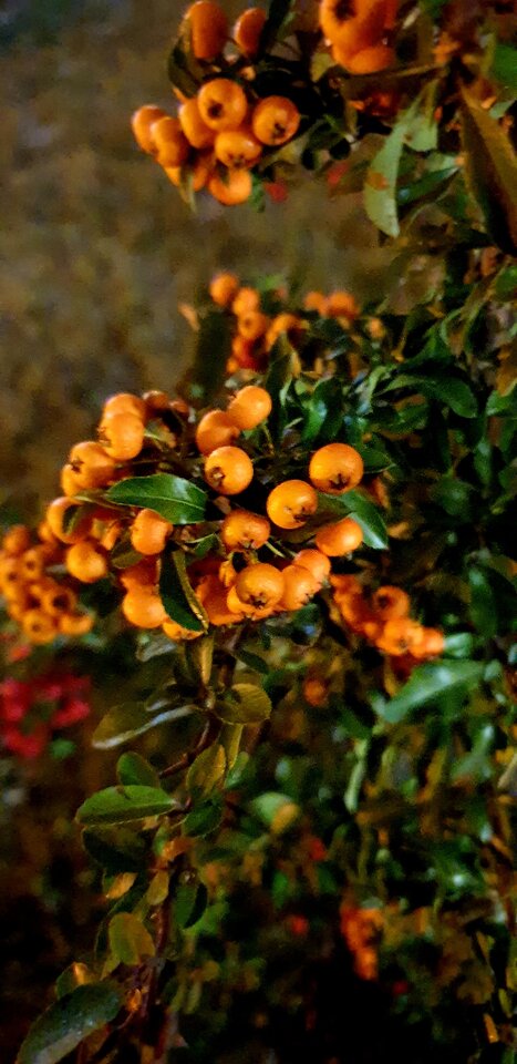 20211209_212203.jpg - Sh_e