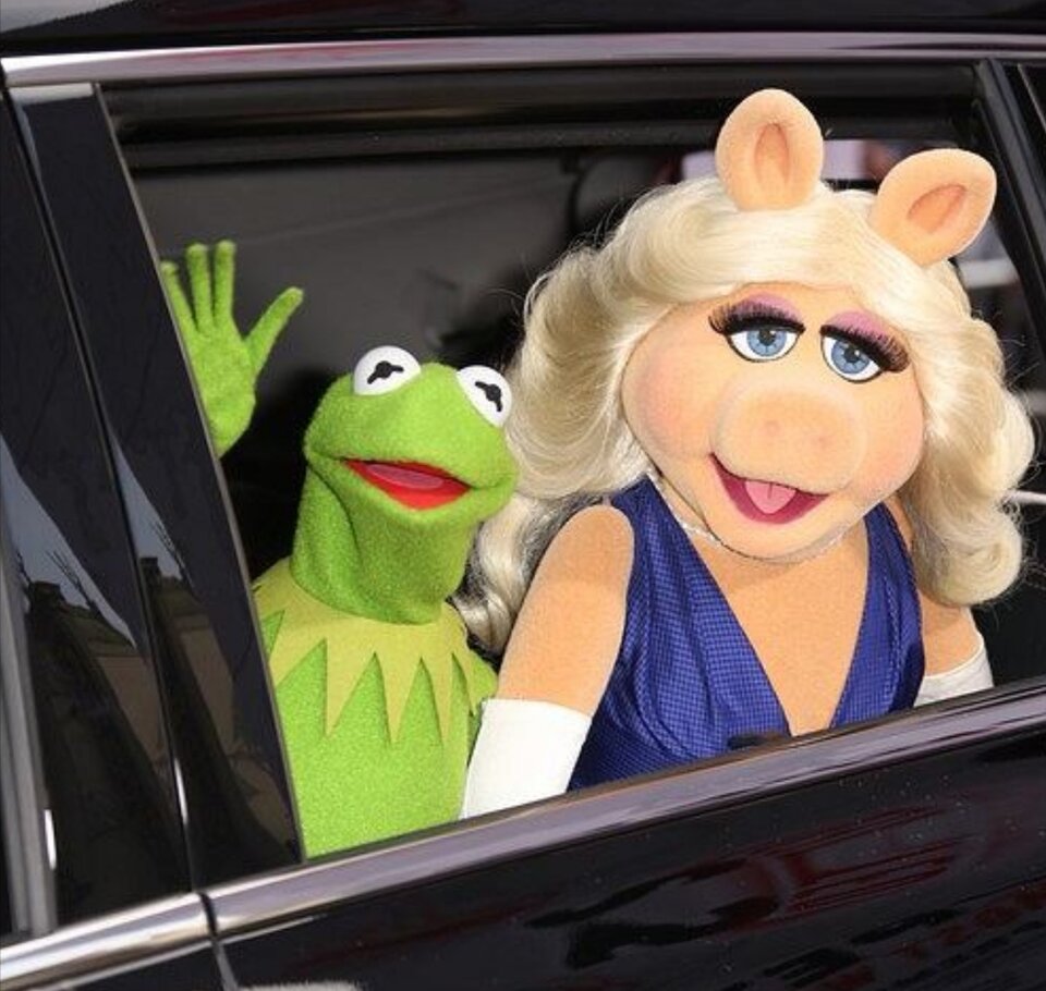 Screenshot_20210319_194834.jpg - PiggyiKermit