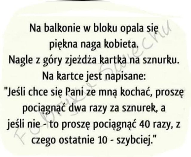 71B39C03-119A-42E5-BB6B-05ABD3718296.jpeg - 1yorkjo