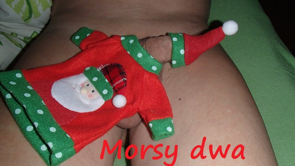 Zbiornik 1582 - Morsy_dwa