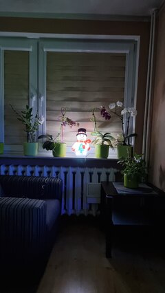 20211203_221620.jpg