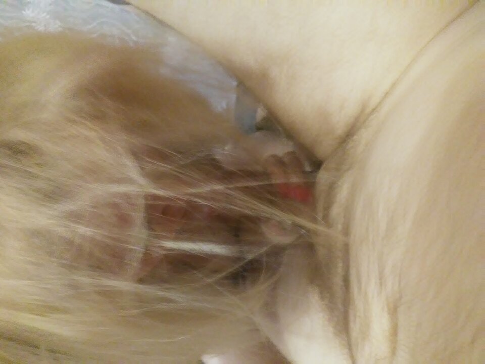 20211120_235105.jpg - zakochanilub