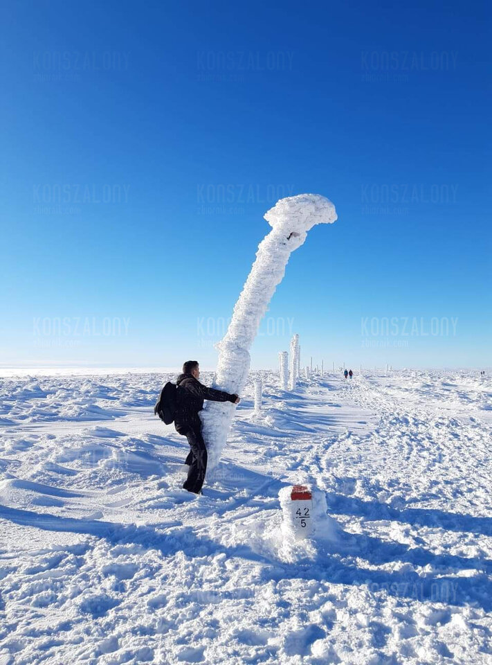 1177572419447776.jpeg - konszalony