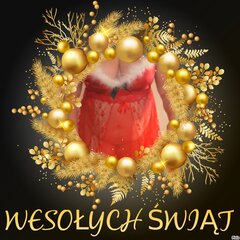 WESOŁYCH ŚWIĄT.
