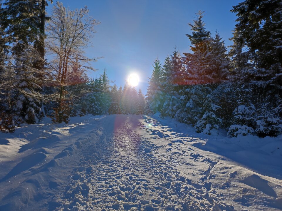 IMG_20211212_104455.jpg - ZBORKI