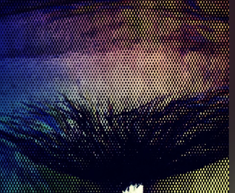 20211214_193809946.jpg - MBSL