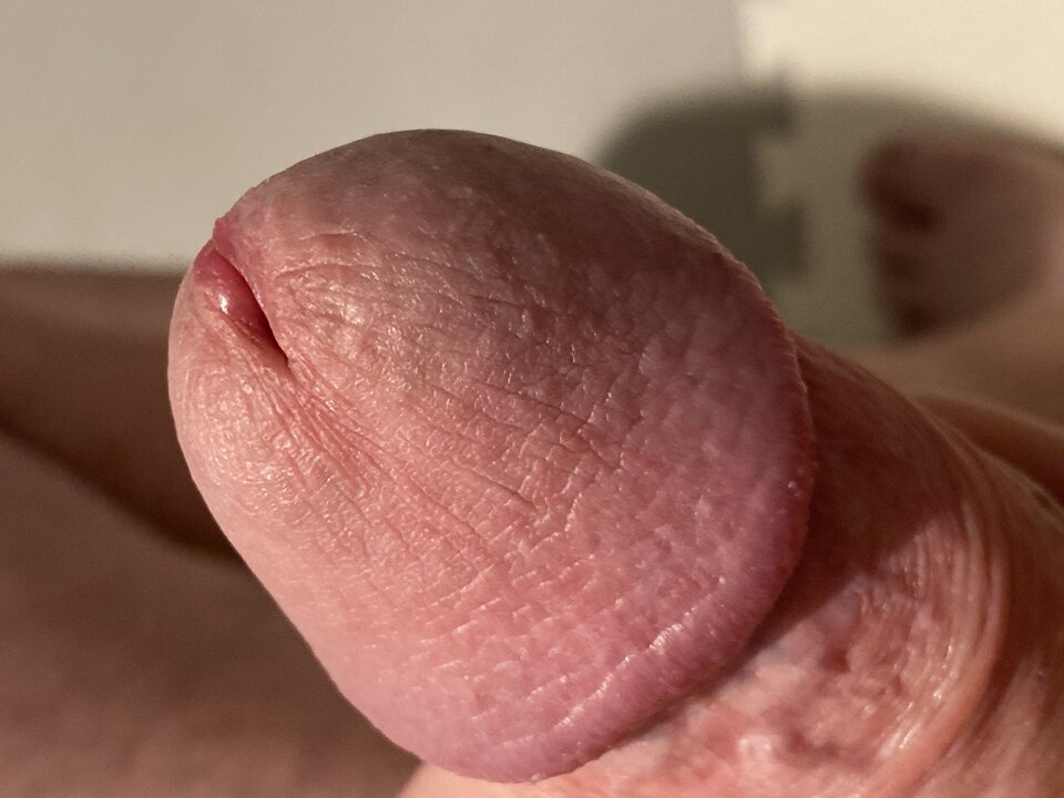 image.jpg - lordnorbi