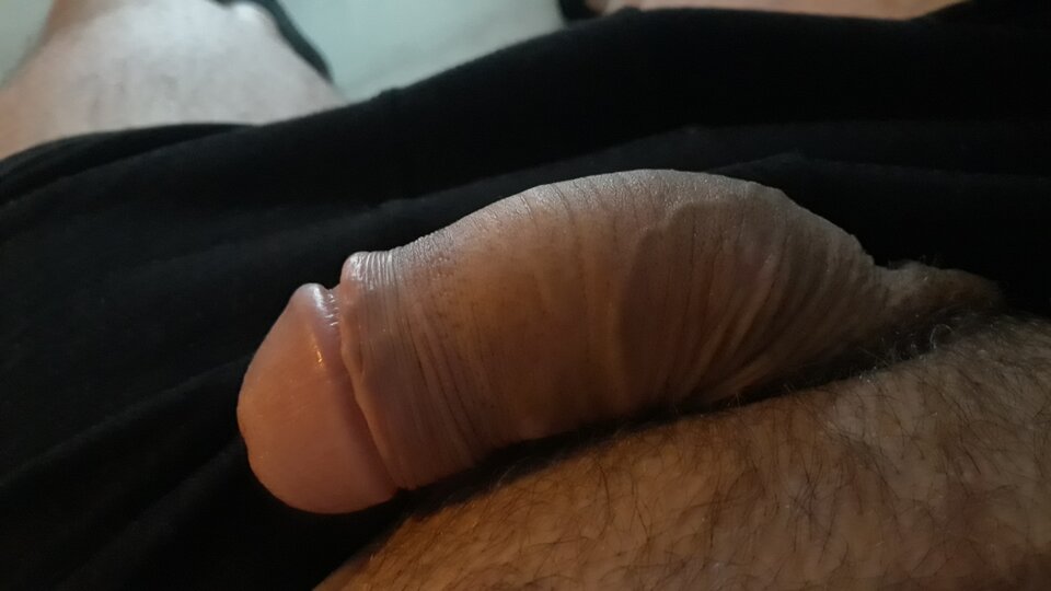 20200619_062702.jpg - TommyAtommy