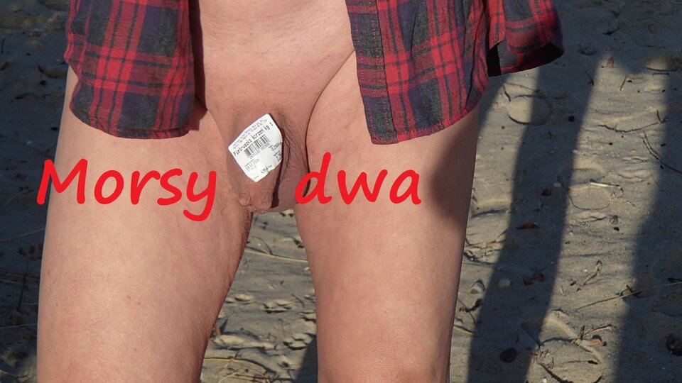 Babie Doły. Zbiornik 1587 - Morsy_dwa