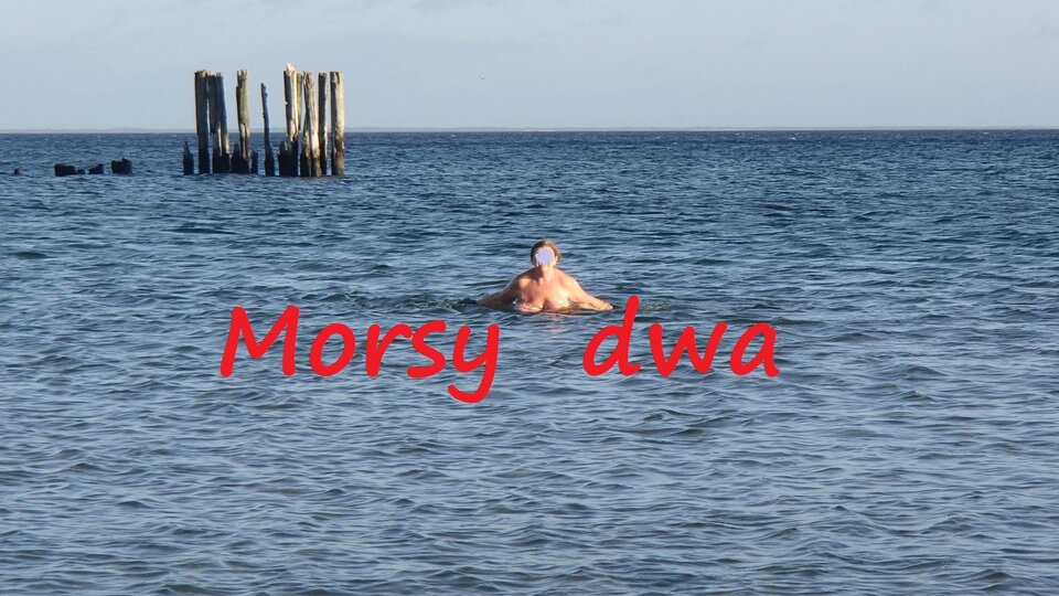 Babie Doły. Zbiornik 1592 - Morsy_dwa