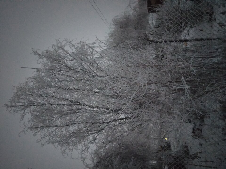 20211212_155936.jpg - Krzyszto1234