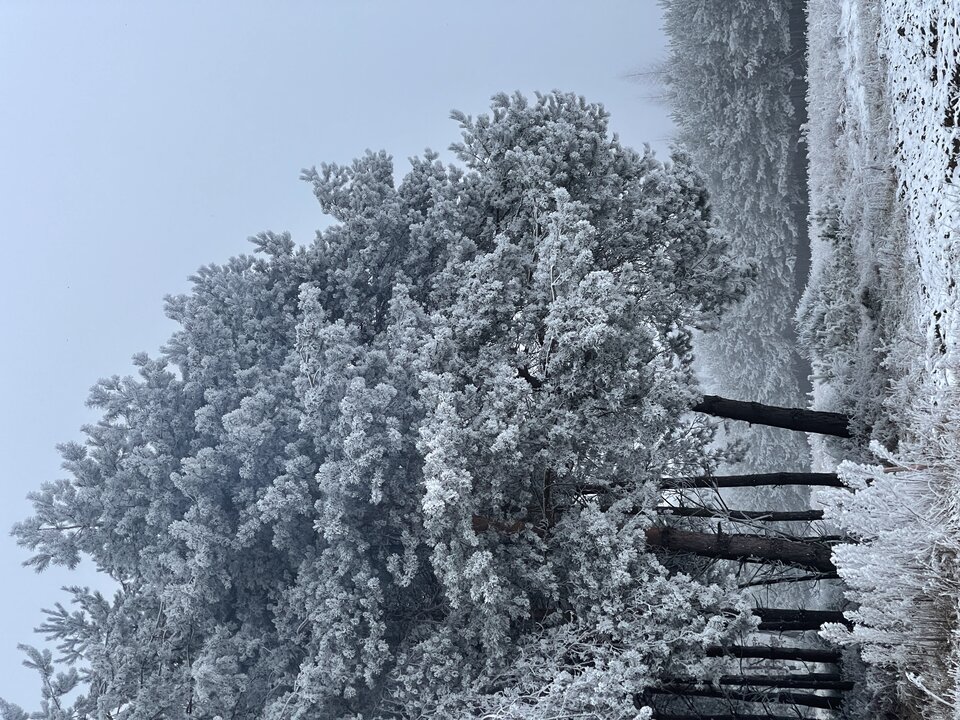 54EFAC93-8ACE-4102-BBC5-A9E82485D351.jpeg - facetKR