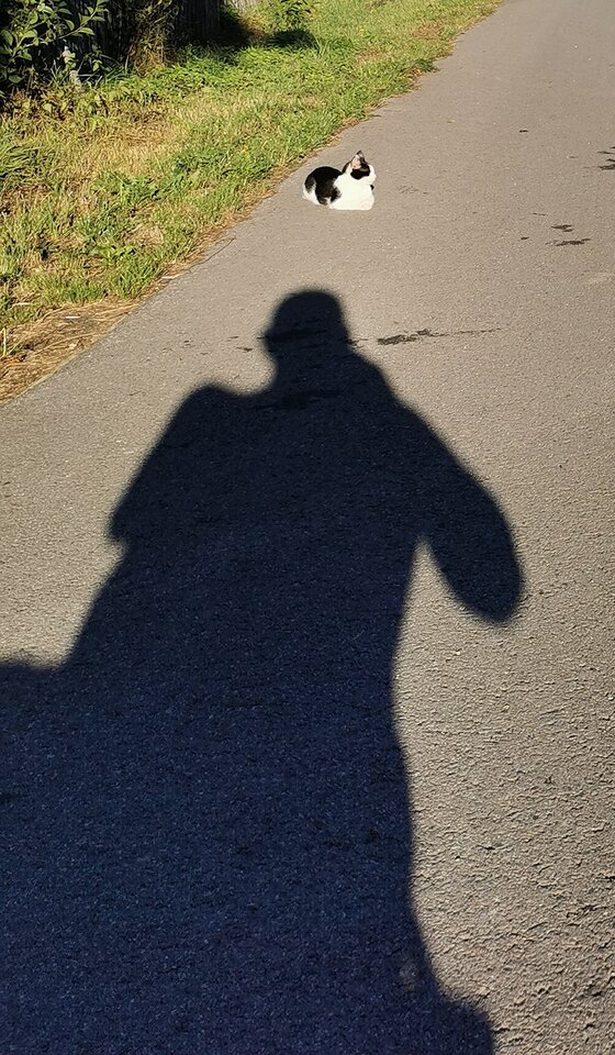 IMG_20211218_124232.jpg - Jesuspedrao