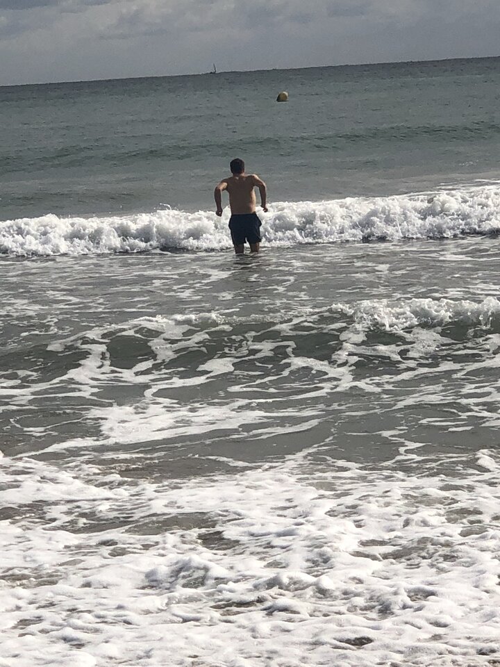 6236B4A2-E858-4254-84F2-7C04C203E0CB.jpeg - Zorro_2010