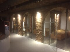 Łanie Piwne Tychy wodny Park.jpeg